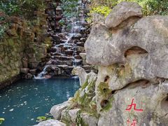 -十八棵（老龙井）御茶园(老龙井店)