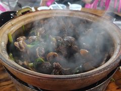 -霞姐屯昌枫木香草鸭店(海螺店)