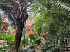 -呀路古热带植物园