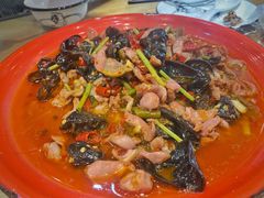 -小四川菜馆(托乐嘉店)