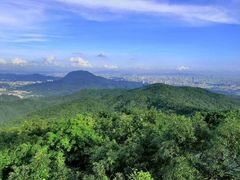 -东莞市大岭山森林公园