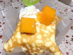 -蒲公英(五里店)