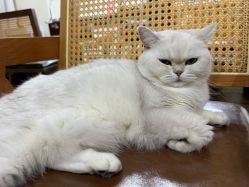 -兮奈ネイル美甲美睫·皮肤管理