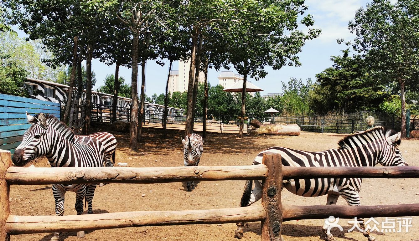 大連森林動物園