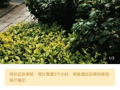 -南关石牌坊古镇