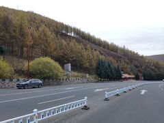 -塞罕坝国家级自然保护区