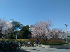 -长安寺