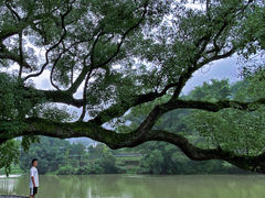 -上坦村