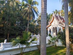 -西双版纳傣族园