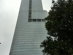 android_upload_pic-紫峰大厦