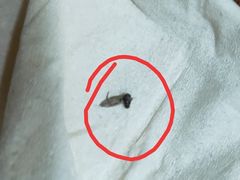 -陆记牛庄·碳锅龙虾烧烤(爱上花园店)