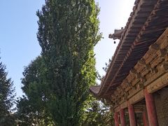 -张掖大佛寺景区