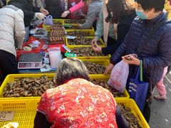 -细村农贸综合市场
