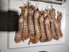 -老济南·地道济南菜(大明湖店)