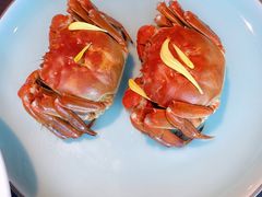 清蒸大闸蟹-蟹榭·本帮江浙菜·蟹宴(五角场合生汇商场店)