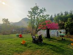-百果山乐享果玩