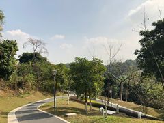 -玉树公园