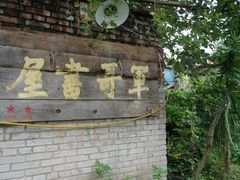 -南山植物园