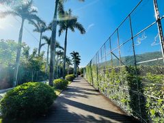 -外滩18号海鲜(三亚湾龙兴海鲜广场店)