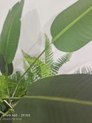 -HEYAN荷妍专业脱毛连锁机构