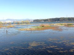 -大理洱海
