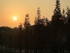 -白鹭湾湿地公园