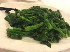 姜汁炒介兰苗-朱仔记食府(江南大道店)