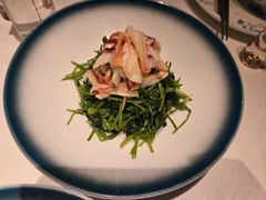 芥兰苗炝拌北极贝-醉舍·新淮扬菜(长宁龙之梦店)