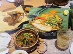 -雀舞云南菜(乐客城店)