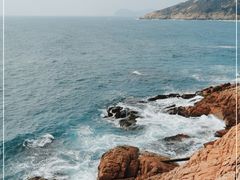 -广东惠东海龟国家级自然保护区