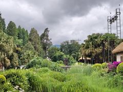 -云南民族村