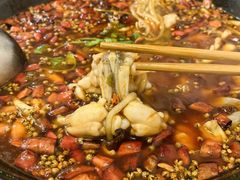 -鸿顺老铁锅美蛙鱼府(解放碑店)