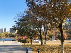 -长春世界雕塑园冰雪艺术天地