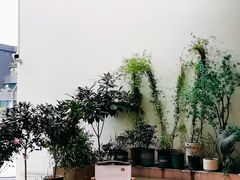 -Beans Solo豆号咖啡(百家湖花园店)