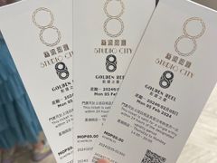 -影汇之星8字形摩天轮