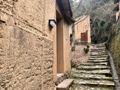 -杨家堂村