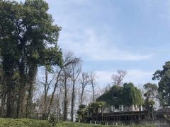 -野蔓果·山野菜(西湖景区·龙井茶田店)