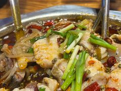 -乡土特色.冷锅鱼.牦牛肉汤锅