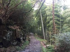 -藏龙百瀑风景区