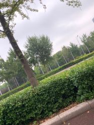 -HEYAN长风荷妍专业脱毛美肤
