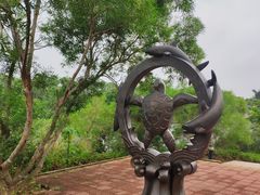 -广东惠东海龟国家级自然保护区