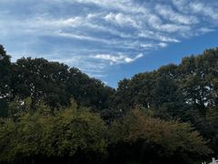 -河南省黄河迎宾馆
