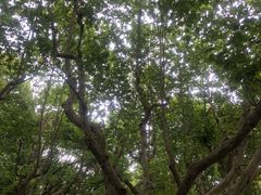 -麥坊俱樂部Maltfun Club