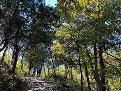 -北京鹫峰国家森林公园