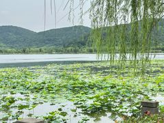 -南北湖风景区