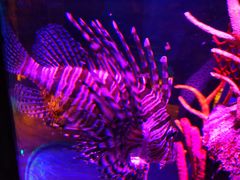 -沈阳海洋探索中心