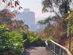 -金鸡山公园