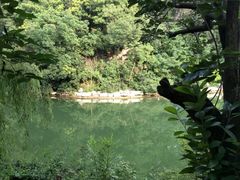 -井塘古村