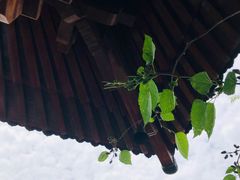 -伯先公园