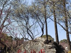 -无锡梅园公园